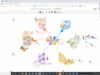 Remote Workshop Webinar