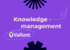 Vaillant Group success stories
